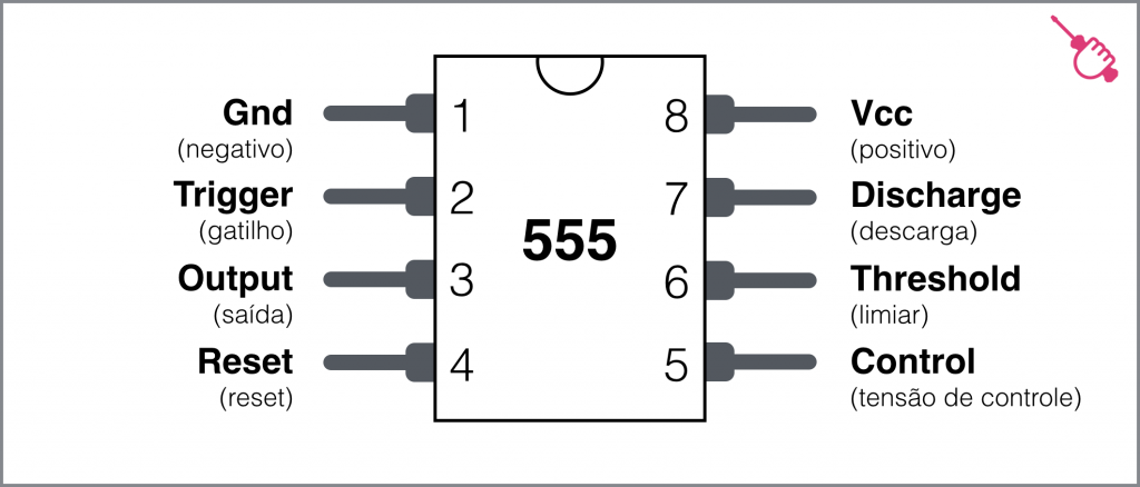 CI 555 - pinos