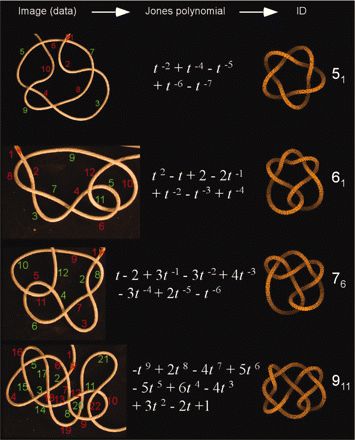 knots and formulas